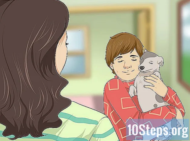Kaip įtikinti savo tėvus leisti jums laikyti savo šunį