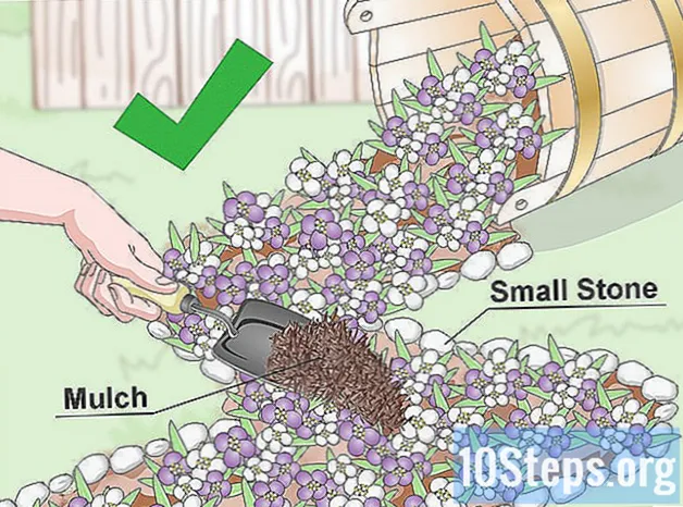 Sådan oprettes en spild blomsterpotte - Kundskaber