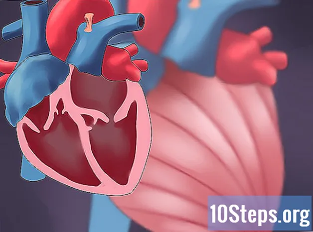 Cách xác định công suất tim