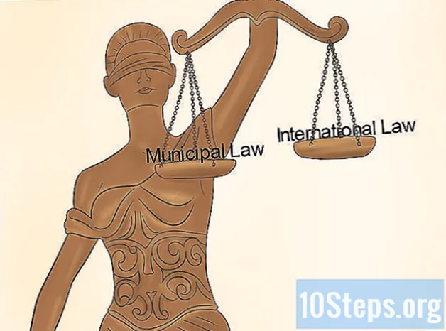 Cum să distingem dreptul internațional de dreptul municipal