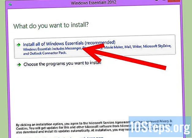 Herunterladen und Installieren von Windows Live Messenger