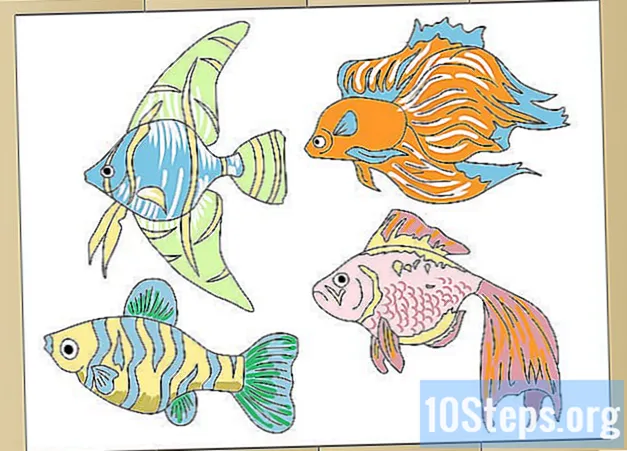Jak narysować ryby tropikalne