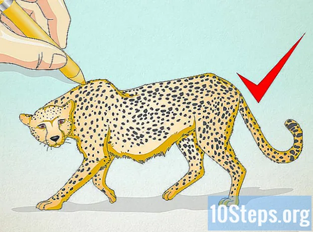 چیتا کیسے کھینچیں