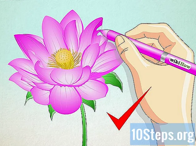 Hogyan rajzoljunk egy lótuszvirágot - Tudás