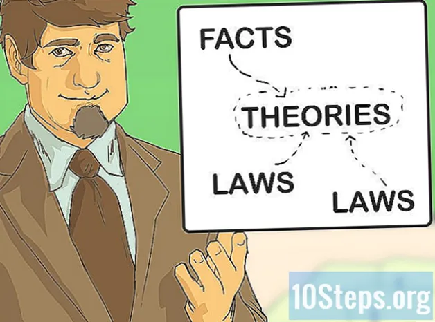 理論、法、事実の違いを説明する方法
