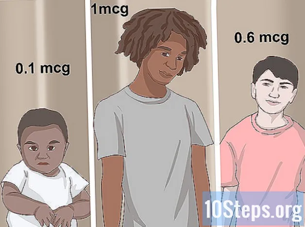 Como alimentar seu filho com vitamina B suficiente
