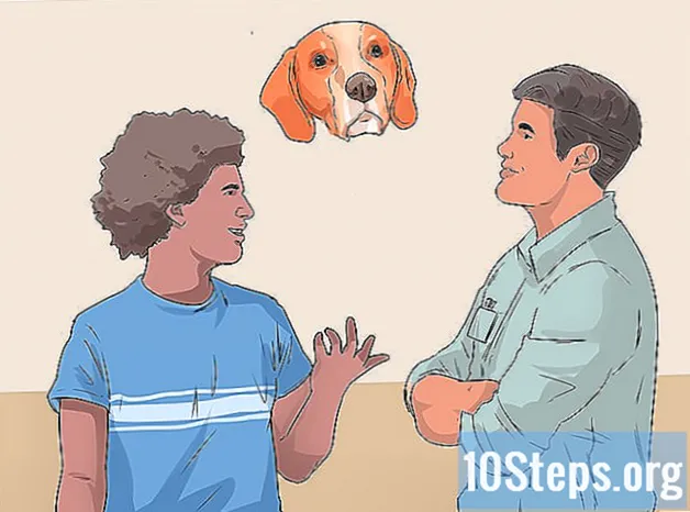 Cara Mempersiapkan Anjing untuk Acara Khusus