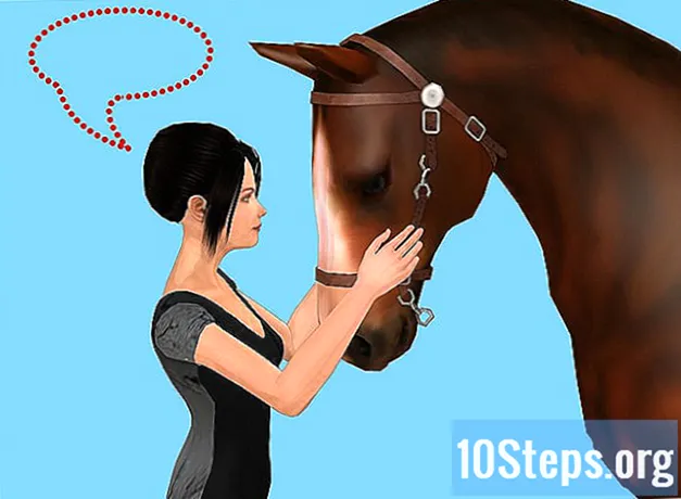 Hur man vänjer en häst till badet - Kunskaper