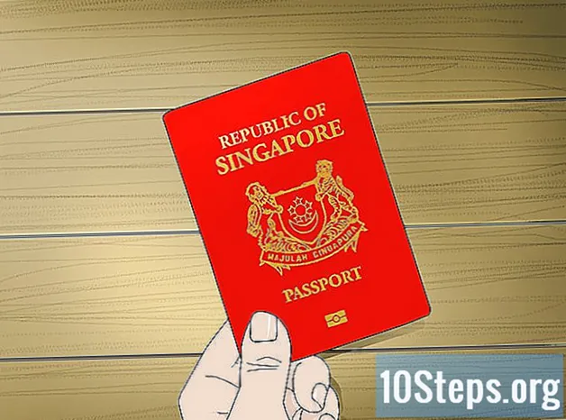 كيفية الحصول على جواز سفر سنغافورة