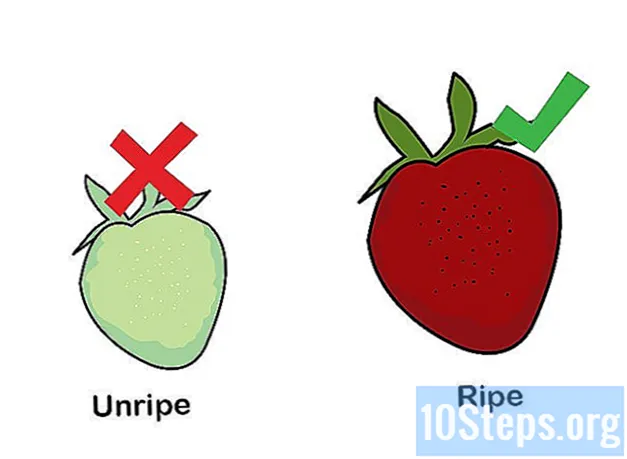 كيف تنمو الفراولة المائية