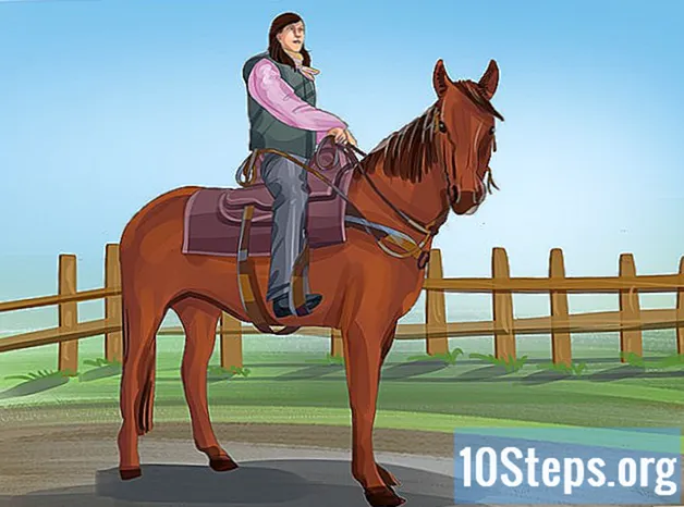 Πώς να σταματήσετε ένα άλογο