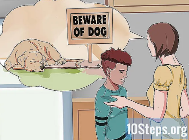 Como lidar com um ataque de cão - Conhecimentos