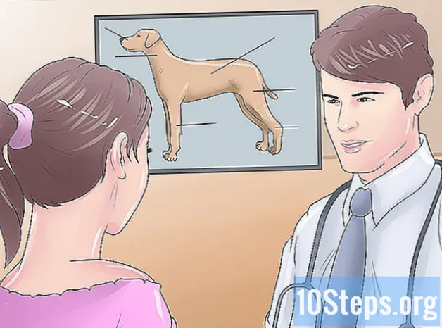 Πώς να θεραπεύσετε ένα σκισμένο σκυλί ACL χωρίς χειρουργική επέμβαση - Γνώσεις