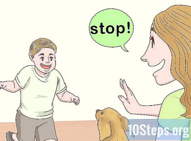 Como ajudar um cachorro a superar o medo das crianças