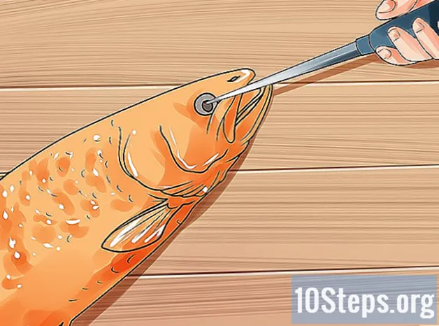 Cum să ucizi uman un pește