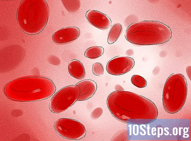 Como aumentar os níveis de hemoglobina