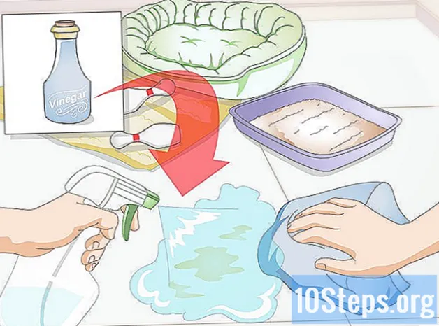 Cum să păstrați un iepure curat