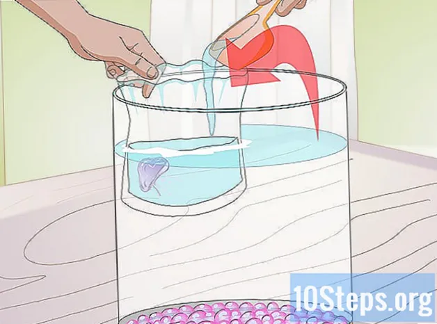 Cách duy trì bể sứa