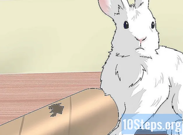 Kuinka tehdä kotitekoisia kanin leluja