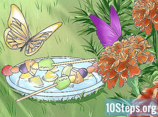 Come fare una mangiatoia per farfalle