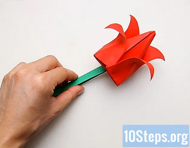 Hvordan lage en full papir tulipan