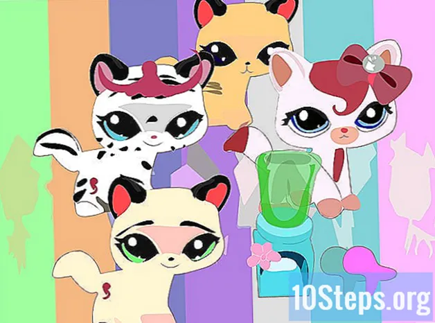 Jak udělat módní přehlídku Littlest Pet Shop - Znalosti