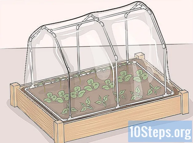 Ako si vyrobiť mini skleník