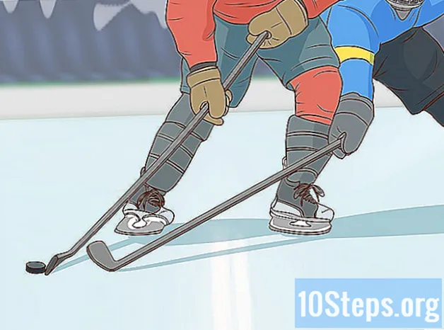 Как играть в хоккей