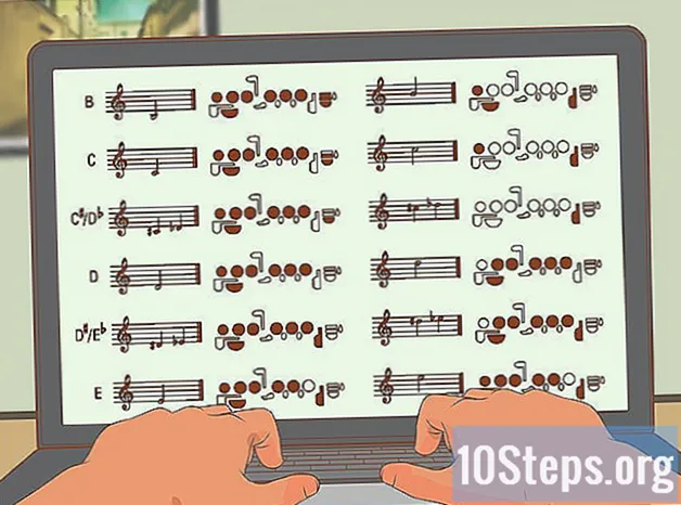 Jak hrát na flétnu - Znalosti