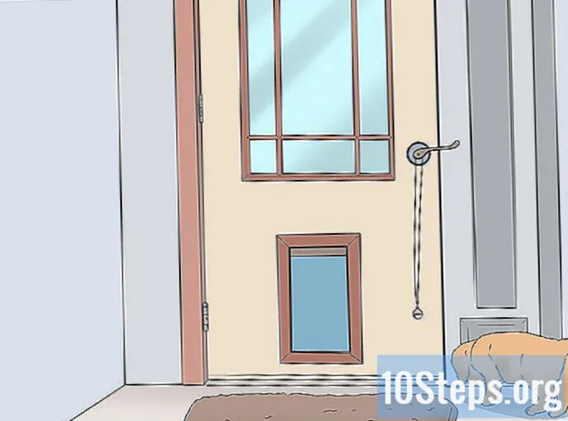 Cómo entrenar a tu cachorro para ir al baño usando una campana - Conocimientos