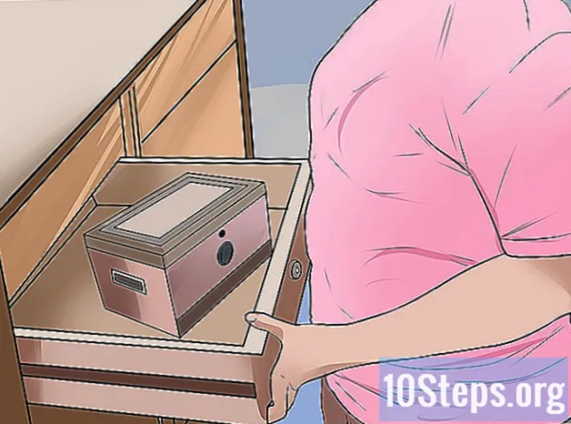 Cómo preparar un humidor - Conocimientos