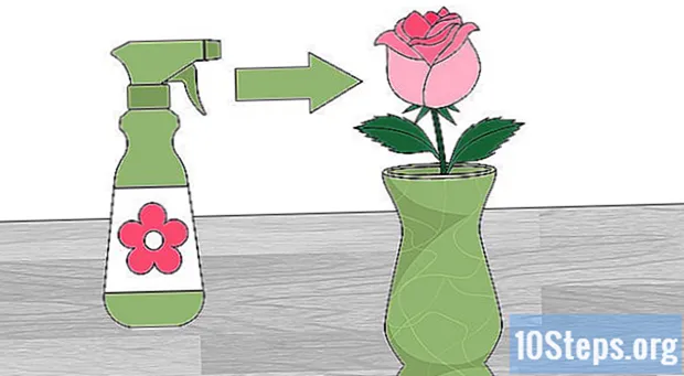 Jak zachovat růži