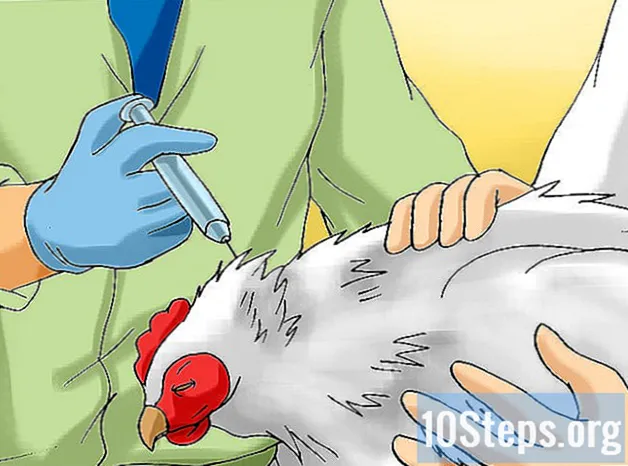 Hur man förhindrar sjukdomar hos kycklingar