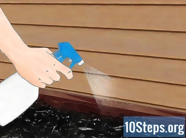 Como proteger sua casa de cupins