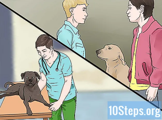 Kako kazniti psa