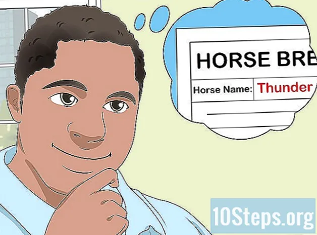 Hoe een paard te registreren