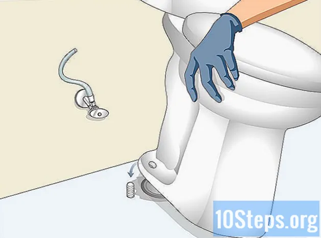 Cum să preluați un articol care a fost aruncat pe o toaletă
