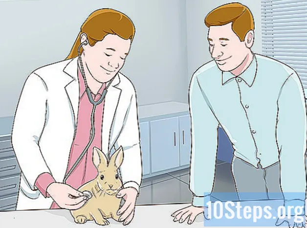 Како осјенчати ветеринара