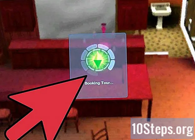 Cómo hacer Simport en los Sims 3 Showtime