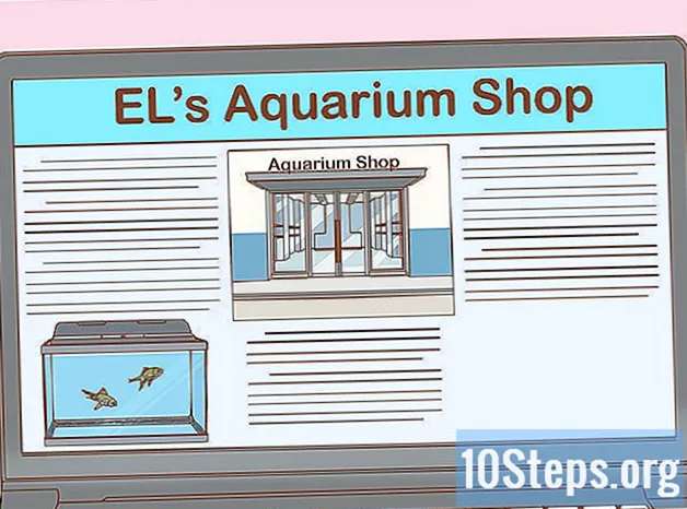 Como abrir uma loja de aquários - Conhecimentos