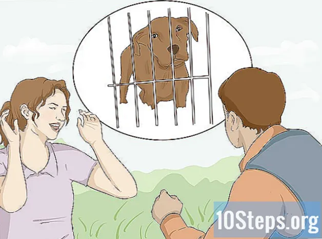 Cách giữ An toàn khi Chó đến gần Bạn