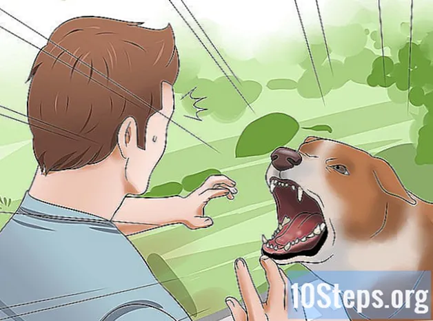 Come impedire ai cani di mordere