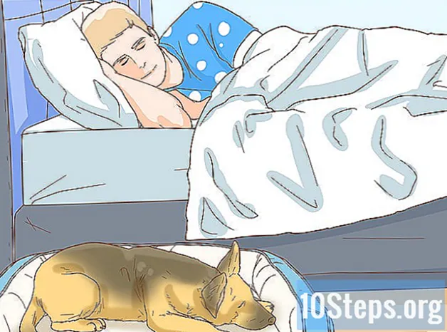 Πώς να σταματήσετε το σκυλί σας να σας ξυπνήσει τη νύχτα