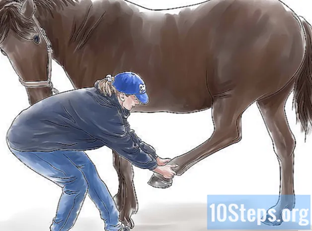 Hoe een paard te strekken