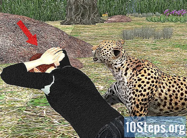 Jak przetrwać atak jaguara