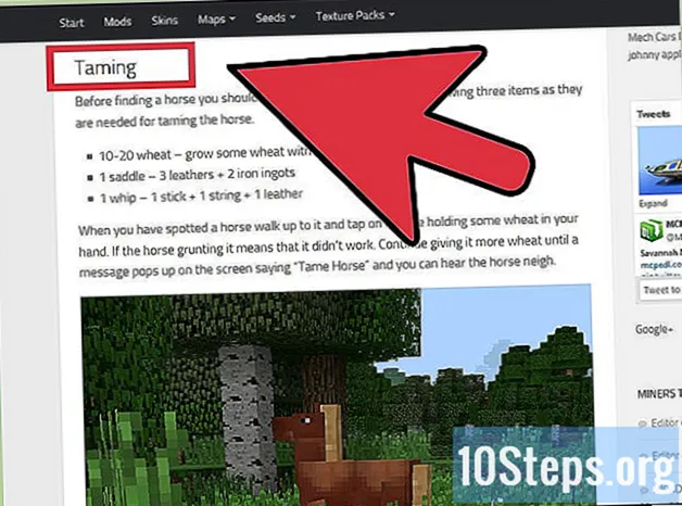 Ako skrotiť koňa v Minecrafte