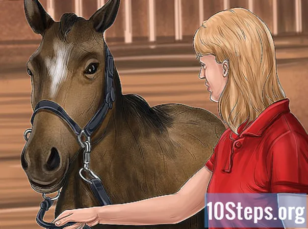 Bagaimana Mengajari Kuda Anda ke Piaffe