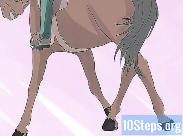 Kaip išmokyti žirgą pereiti į šoną