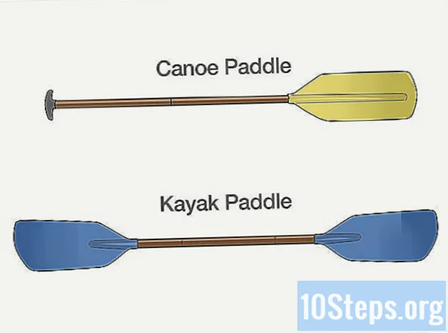 カヤックとカヌーの違いを見分ける方法