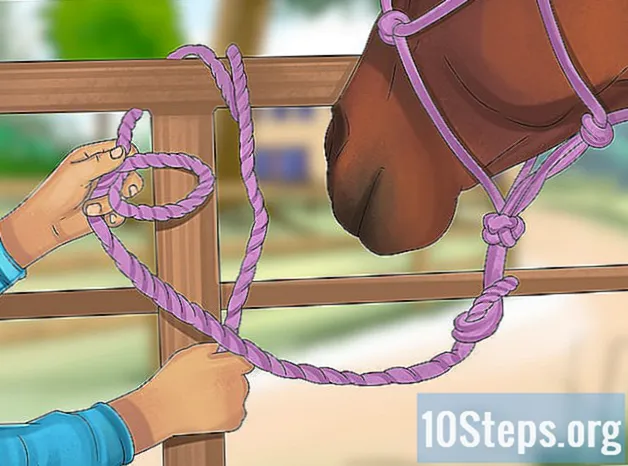 Como amarrar um cavalo